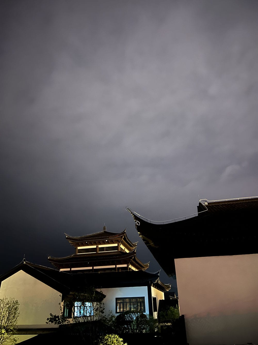 荊門園博園酒店夜景