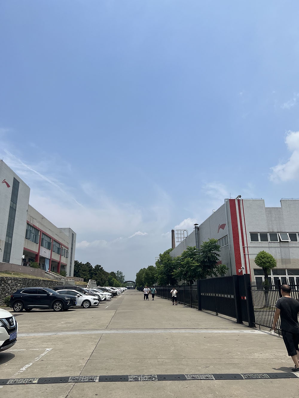 廠區(qū)主干道